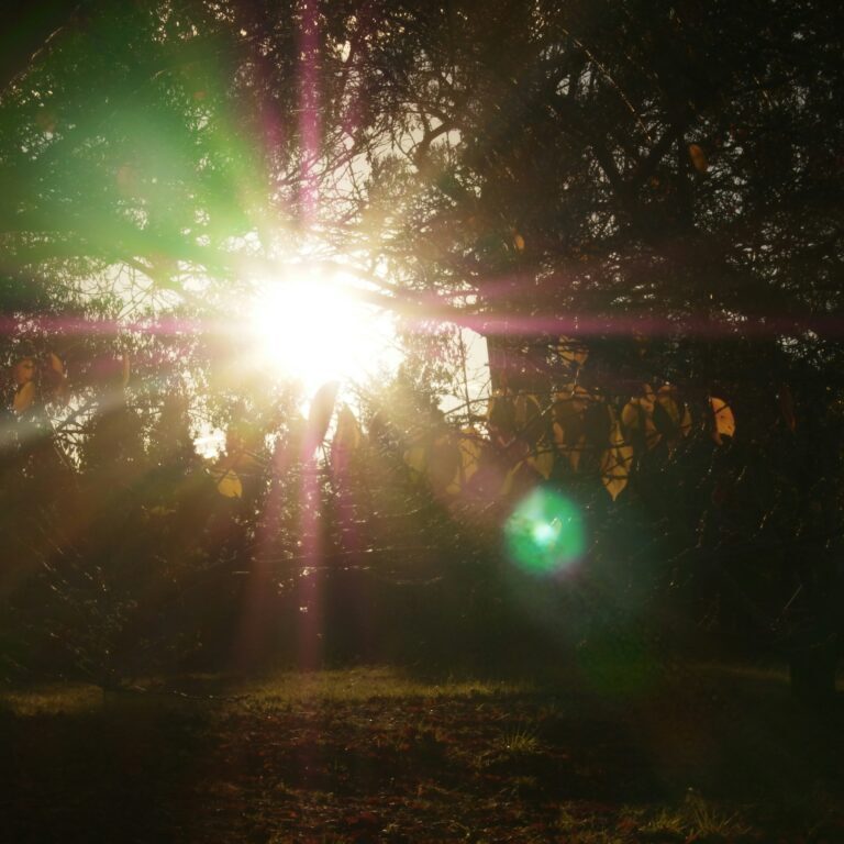 arnold-zhou-degttRBzD_g-unsplash